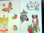 butzebra